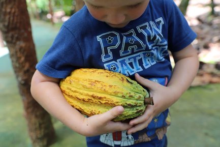 Kind zeigt eine Kakaofrucht während der Don Juan Kaffee- und Kakao-Tour – Costa Rica Familienreise