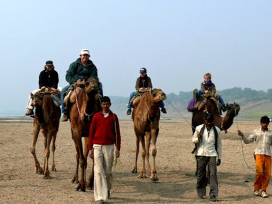 Eine Gruppe von Menschen reitet auf Kamelen am Ufer des Chambal-Flusses, umgeben von einer ruhigen Landschaft.