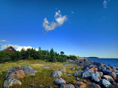Eine malerische Küstenlandschaft mit großen, runden Steinen und üppigem Grün, das sanft zum Wasser hin abfällt.