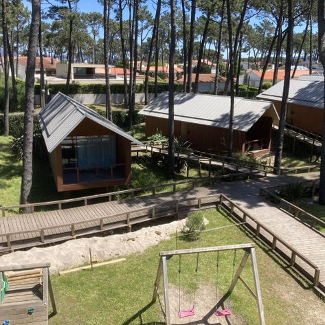 Eine ruhige Landschaft mit modernen Holzhütten, umgeben von hohen Kiefern und einem Holzsteg, der durch den Garten führt.