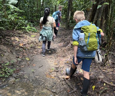 Drei Kinder wandern auf einem schmalen Pfad durch einen dichten, grünen Dschungel, umgeben von üppiger Vegetation.