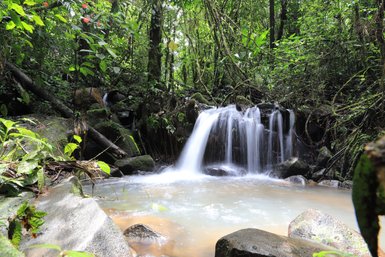Klare Wasserbecken in der Natur rund um die La Tigra Rainforest Lodge – Costa Rica mit Kindern