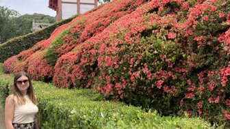 Eine Frau steht lächelnd vor dem Kiyomizu-dera Tempel, umgeben von leuchtend rosa Blumen und grünen Hecken.