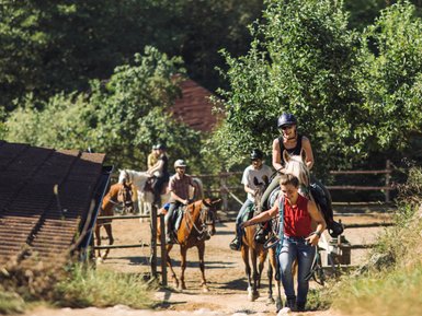 Eine Gruppe von Reitern, die auf einem sonnigen Weg mit Bäumen und einem Stall im Hintergrund reitet.