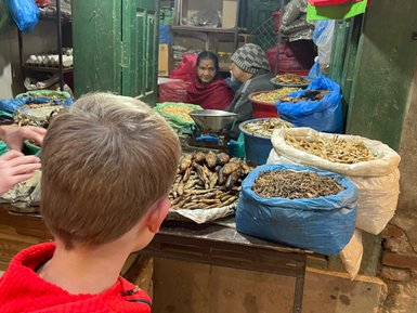 Ein Junge in einem roten Pullover betrachtet neugierig die Waren auf einem Marktstand in Thamel, Nepal.