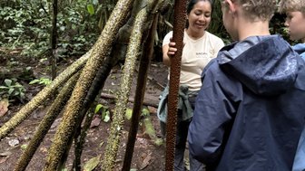 Eine Frau erklärt Kindern die Besonderheiten einer Pflanze im dichten Dschungel, umgeben von üppigem Grün.