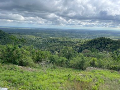 Ein atemberaubender Blick auf die üppige grüne Landschaft, die sich bis zum Horizont erstreckt, unter einem bewölkten Himmel.