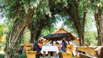 Eine Gruppe von fünf Personen sitzt an einem Holztisch unter einem schattigen Baum und genießt ein gemeinsames Essen.