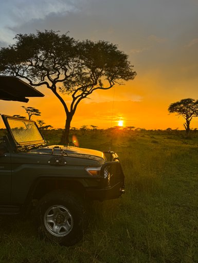 Safarijeep fährt vor der Kulisse eines farbenfrohen Sonnenuntergangs – Tansania Familienreise