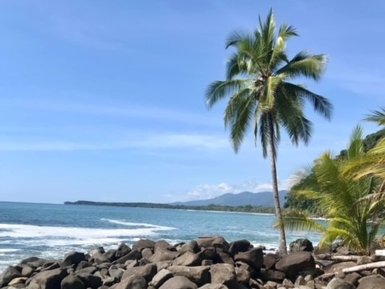Steine am Strand und Palme an der Pazifikküste bei Uvita – Costa Rica Reise mit Kindern