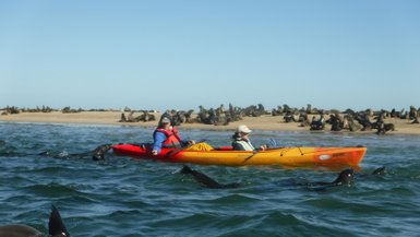 Ein Vater fährt mit seinem Sohn im Kajak durch eine Gruppe Robben - Namibia Urlaub mit Kindern