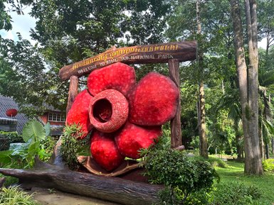 Eingang des Khao Sok Nationalparks mit roter Pflanze und Vegetation - Thailand Familienreise