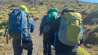 Drei Wanderer mit Rucksäcken gehen einen schmalen Pfad in einer grünen, hügeligen Landschaft unter klarem Himmel entlang.