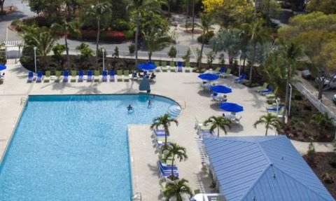 Ein weitläufiger Pool umgeben von Palmen und blauen Liegen, ideal für Entspannung und Erholung unter der Sonne.