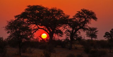 Roter Himmel bei Sonnenuntergang – Sri Lanka Familienreise