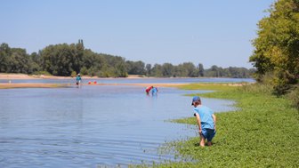 Ein Junge in blauer Kleidung steht im flachen Wasser und untersucht das Ufer, umgeben von grünen Pflanzen und Bäumen.