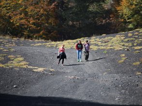 Drei Wanderer gehen auf einem schottrigen Weg, umgeben von herbstlichen Bäumen und grünem Gras.