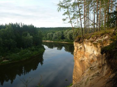 Ein ruhiger Fluss schlängelt sich durch eine grüne Landschaft, umgeben von hohen Bäumen und sanften Hügeln.