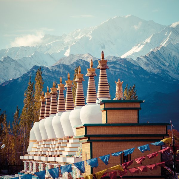 Eine Reihe von Stupas mit goldenen Spitzen steht vor majestätischen, schneebedeckten Bergen im Hintergrund.