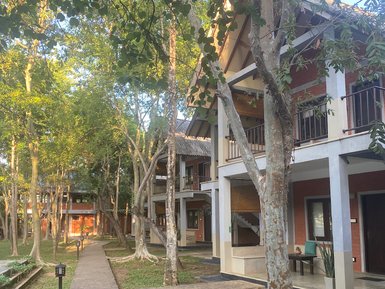 Ein malerischer Weg führt durch eine grüne Landschaft mit modernen Gebäuden, umgeben von hohen Bäumen und sanfter Beleuchtung.