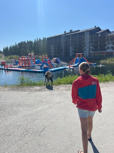 Ein Kind in einem roten Hoodie geht am Wasser entlang, während ein Hund in der Nähe spielt und eine Wasserlandschaft im Hintergrund sichtbar ist.