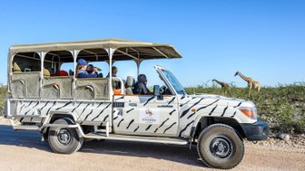 Eine Reisegruppe beobachtet Tiere aus einem offenen Jeep - Namibia Rundreise mit Kindern