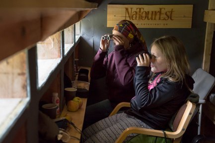Zwei Personen beobachten mit Ferngläsern die Natur aus einer gemütlichen Hütte, umgeben von Holz und einer einladenden Atmosphäre.