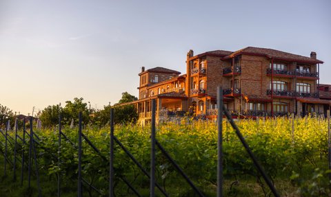 Ein malerisches Weingut mit einem charmanten, roten Backsteingebäude, umgeben von üppigen Weinreben im sanften Licht der Abenddämmerung.