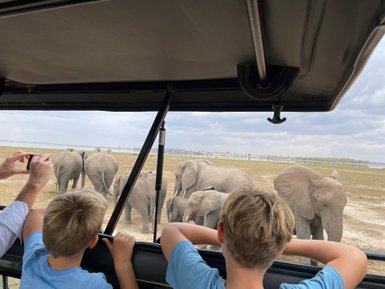Zwei Kinder beobachten fasziniert eine Herde von Elefanten während einer Safari in der afrikanischen Savanne.