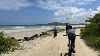 Drei Radfahrer fahren auf einem sandigen Weg entlang eines Strandes, umgeben von sanften Wellen und grüner Vegetation.