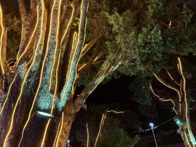 Die Baumstämme sind elegant mit warmen, golden Lichtstreifen geschmückt und werfen ein festliches Glühen in die Nacht.