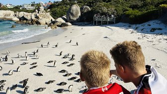 Zwei Jungen beobachten eine Gruppe von Pinguinen am Strand, umgeben von Felsen und einer malerischen Küstenlandschaft.