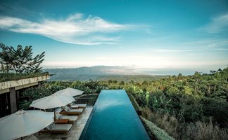 Grünen Kaffeefelder der Munduk Moding Plantation – Bali Reise mit Kindern