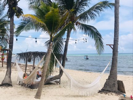Eine entspannte Szene am Strand mit Hängematten zwischen Palmen und einem Boot im Hintergrund auf dem Wasser.