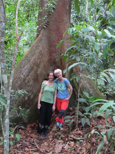 Frauen stehen vor einem Baum im Sepilok Rainforest Discovery Centre – Malaysia & Borneo Familienreise