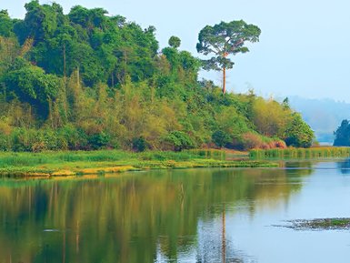 Ein ruhiger Fluss spiegelt die üppige grüne Landschaft und die Bäume am Ufer wider, während die Morgenstimmung sanft leuchtet.