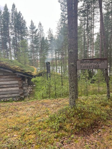 Ein rustikales Holzhaus steht in einem dichten Wald, umgeben von hohen Kiefern und sanften Hügeln mit Moos.