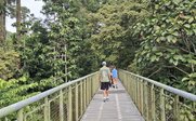 Menschen gehen Baumwipfelpfad - Malaysia & Borneo Family & Teens - Malaysia & Borneo Family mit Jugendlichen
