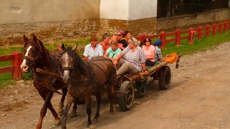 Zwei Pferde ziehen einen Wagen, auf dem mehrere Personen fröhlich sitzen und die Landschaft genießen.