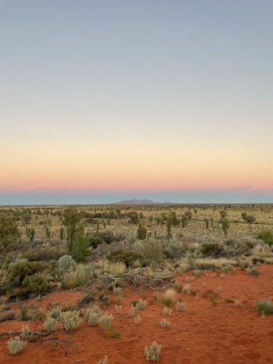 Der sanfte Übergang von Himmel im Abendrot über die weitläufige Wüste mit rotbraunem Sand und spärlicher Vegetation.