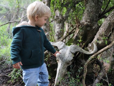 Kind läuft neugierig bei geführter Wanderung im Kariega Game Reserve – Garden Route Reise mit Kindern