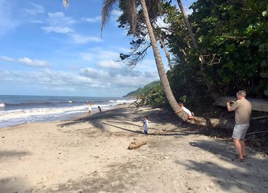 Ein sonniger Strand mit sanften Wellen, wo Kinder spielen und ein Erwachsener Fotos macht, umgeben von Palmen.