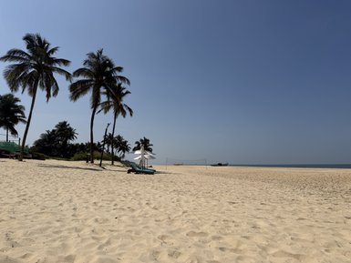 Ein ruhiger Strand mit feinem, hellem Sand, umgeben von hohen Palmen und einem klaren blauen Himmel.