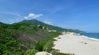 Ein malerischer Strand mit feinem Sand, umgeben von üppigem Grün und sanften Hügeln unter einem strahlend blauen Himmel.