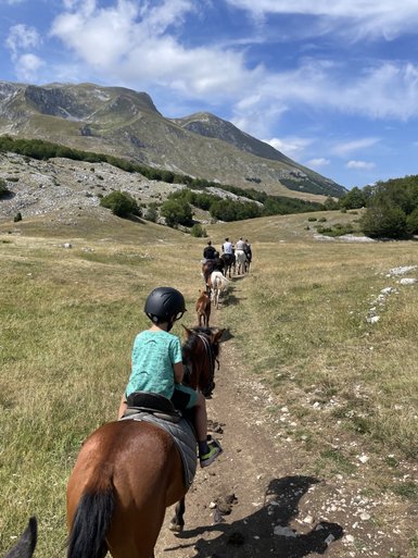 Ein Junge reitet mit einem Helm auf einem Pferd, während er einer Gruppe von Reitern in der Natur folgt.