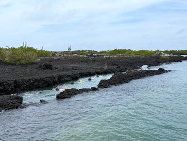 Eine Gruppe von Schnorchlern erkundet das klare Wasser zwischen vulkanischen Felsen in einer tropischen Umgebung.
