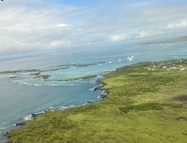 Eine atemberaubende Küstenlandschaft mit klarem, türkisfarbenem Wasser und üppigem, grünem Land im Vordergrund.