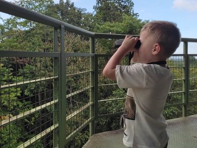 Kind blickt durch ein Fernglas und entdeckt die grüne Natur im Sepilok Rainforest Discovery Centre – Malaysia & Borneo Reise mit Kindern