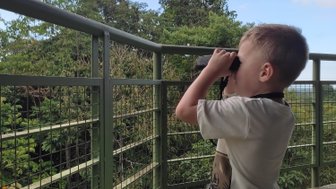 Kind blickt durch ein Fernglas und entdeckt die grüne Natur im Sepilok Rainforest Discovery Centre – Malaysia & Borneo Reise mit Kindern
