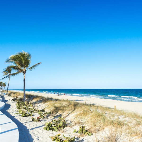 Ein sonniger Strand in Fort Lauderdale mit Palmen, einem klaren blauen Himmel und Menschen, die sich am Wasser entspannen.